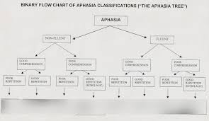 Aphasia Tree Diagram Quizlet