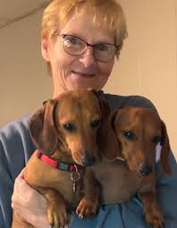 Karen Lee Jillson Obituary (2024)