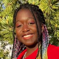 7 "Damilola Dada" profiles