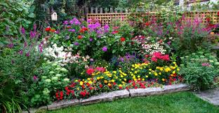 We love to grow on our farm in the charlotte, north carolina, area. Perennial Flowers For North Carolina Fill Your Flower Beds Pots And Planters With Our Colorful Front Yard Landscaping Backyard Landscaping Full Sun Garden