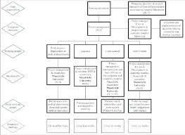 Organisation Chart Of The Primary Care Plus Project