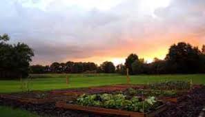 What is the percentage of nitrogen in soil? 7 Easy Methods To Add Nitrogen To Your Soil Gardening Channel