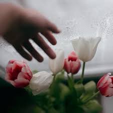 1. Распознавание вредных привычек