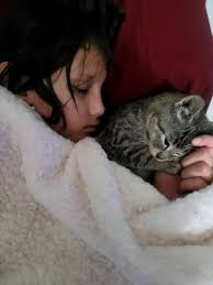 Lost Dog Buddy in Franklin, Louisiana