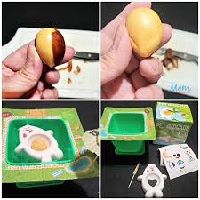 Check spelling or type a new query. Grow Your Own Avocados With Avoseedo Springfunonmdr Mom Does Reviews