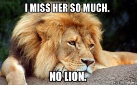 I Miss Her So Much No Lion Confession Lion Make A Meme