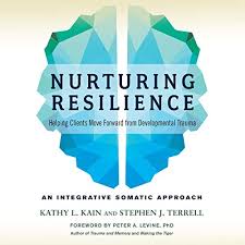 The civic politics of public work, in peter levine and karol edward soltan, eds., civic studies: Nurturing Resilience By Kathy L Kain Stephen J Terrell Peter A Levine Foreword Audiobook Audible Com