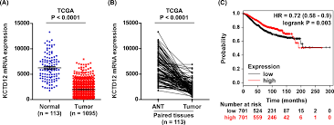 Check spelling or type a new query. Kctd12 Promotes G1 S Transition Of Breast Cancer Cell Through Activating The Akt Foxo1 Signaling Ye 2020 Journal Of Clinical Laboratory Analysis Wiley Online Library