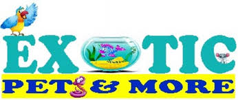 Florida pet shops directory, showing florida pet shop website links, locations, phone numbers, and category tags. Exotic Pets More Okeechobee Home Facebook