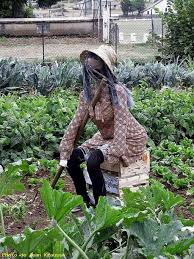 30 Awesome Garden Scarecrow Ideas Garden Gardendesign Gardendesignideas Scarecrows For Garden Scarecrow Garden Whimsy