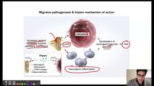 Image result for Triptan