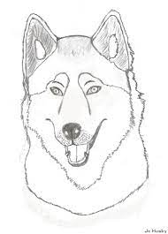 Check spelling or type a new query. Husky Face Coloring Page Hicoloringpages Coloring Home