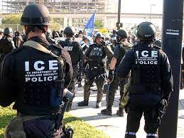 Immigration And Customs Enforcement - Criminal Justice Degree Hub
