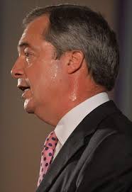 ROBERT HARDMAN: Has UKIP come of age?