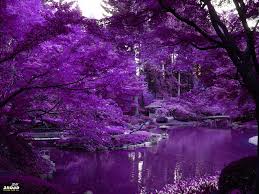 صور طبيعية