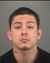 Hamilton Police Service