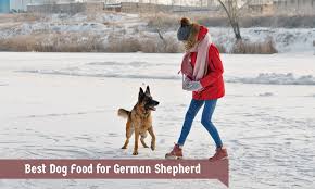 One of the bestselling dog food on chewy.com, taste of the wild high prairie puppy formula grain free dry dog food has buffalo and lamb meal as the first ingredients. Best Dog Food For German Shepherd