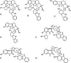 Image result for Strychnos usambarensis