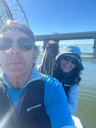 Eleven pelicans rescued...