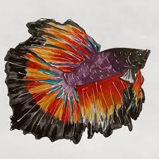 Colorful bubbling disc automatically cycles through a rainbow of led light colors. Rainbow And Purple Betta Fish By Collee288 On Deviantart