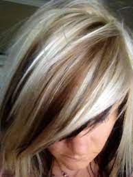 Pin By Kim Dean On Hair Hair Styles Adding Lowlights To Blonde Hair Dark Hair With Highlights
