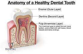 Narcotic precautions if you are taking a prescription narcotic, you should not drive or operate heavy machinery. Root Canal Treatment Experienced Dentists Same Day Appoinments