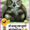 Jun 15, 2021 · 60+ funny whatsapp chat screenshots in hindi. Https Encrypted Tbn0 Gstatic Com Images Q Tbn And9gcsjujk5drpht956lfh35ifo9zcjyh8 Rxrfhvm N84uchtmkk 3 Usqp Cau