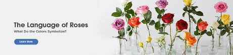 From white wedding bouquets to wildflower bouquets, from roses and peonies, to ranunculus and anemones, you'll be sure to find many ideas you'll love. Flowers Floral Arrangements Kroger