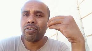 The white colour flowers smile is so beautiful.