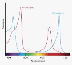 Light spectrum for growing plants. Grow Light Spectrum Explained Ideal Led Spectrum For Plants