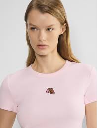 Cute dachshund pictures and experiences