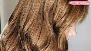 Mengecat rambut merupakan salah satu pilihan banyak wanita yang ingin terlihat lain. 20 Ide Cantik Warna Rambut Cokelat Muda Wanita22