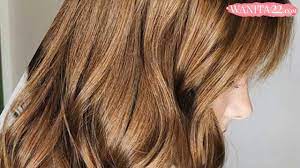 Check spelling or type a new query. 20 Ide Cantik Warna Rambut Cokelat Muda Wanita22