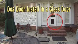 Pet doors, grooming dryers & tubs, dog training collars Installing A Dog Door Into Glass French Doors Youtube