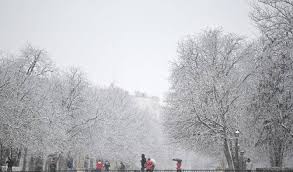 Sur le marché de valence (espagne), on peut voir de nombreux poissonneries. Une Tempete De Neige Seme Le Chaos En Espagne L Orient Le Jour