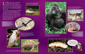 How long can you survive without water? Long Life Is Something We Compare To Human Age Nwf Ranger Rick