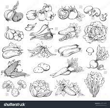 Pin On Drawings Food