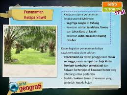 Klasifikasi dan morfologi kelapa sawit. Facebook