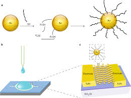 It was first identified in december 2019 in wuhan,. Fabricating And Printing Chemiresistors Based On Monolayer Capped Metal Nanoparticles Nature Protocols
