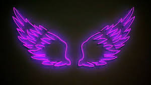 2607x1738 neon lights wallpaper gallery>. Purple Aesthetic Neon Lights Wings Black Background Purple Aesthetic Hd Wallpaper Peakpx
