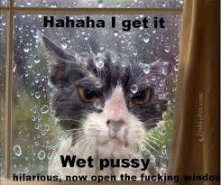 Joke4fun Memes Cat Can T Take No Joke #jokes,#funny,#hilarious how do you embarrass an archaeologist? joke4fun memes cat can t take no joke