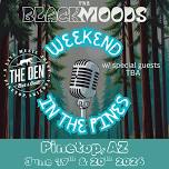 WEEKEND IN THE PINES V