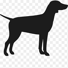 German shorthaired pointer lab mix puppies. Labrador Retriever Flat Coated Retriever Dog Breed Puppy German Shorthaired Pointer German Shepherd Silhouette Mammal Carnivoran Png Pngegg