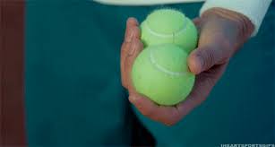 Team expense report single gender. Amazing Animated Great Tennis Gifs
