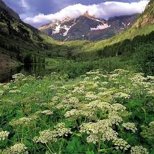 Fast & free shipping on many items! Nature Jigsaw Puzzles Apk For Android Free Download On Droid Informer