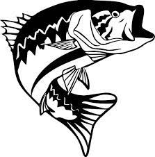 Free Free 105 Largemouth Bass Clipart Bass Svg Free SVG PNG EPS DXF File