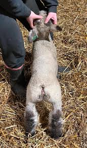 Congratulations to Chase Buck