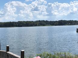 Yes, there are alligators in north alabama. Alligator Spotted In Lay Lake