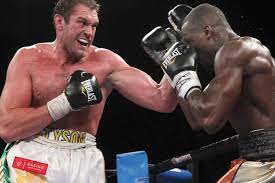 Steve cunningham intends to knock the words out of antonio tarver. Philadelphia Heavyweight Steve Cunningham Ko D By Tyson Fury