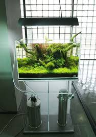 Aquarium Lighting Guide An In Depth Analysis Aquarium Fish Tank Nature Aquarium